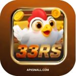 33RS Game